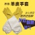 羊皮手套养蜂专用防蜂蜇加厚柔软取蜂蜜工具透气防护手套包邮