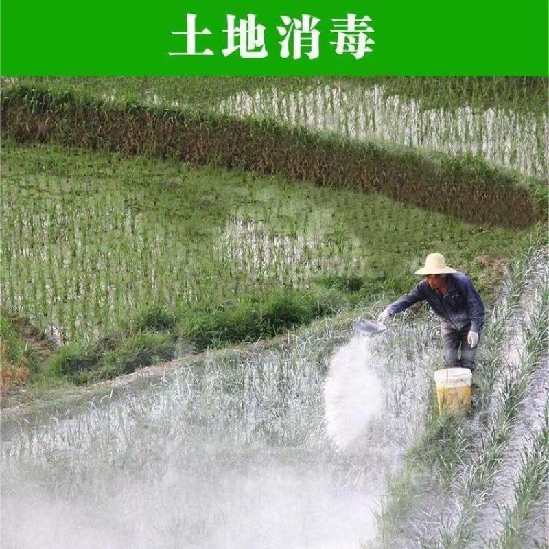 生石灰粉防虫净化水质改良土壤树木刷白防霉除湿块