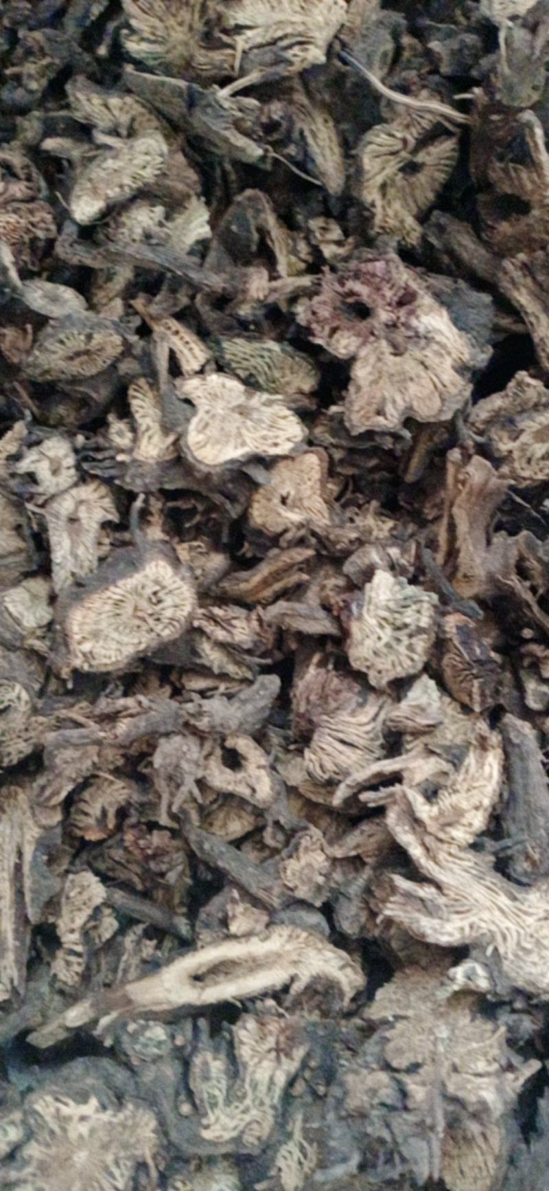 【升麻】产地东北一手货源大货供应规格齐全量大优惠。
