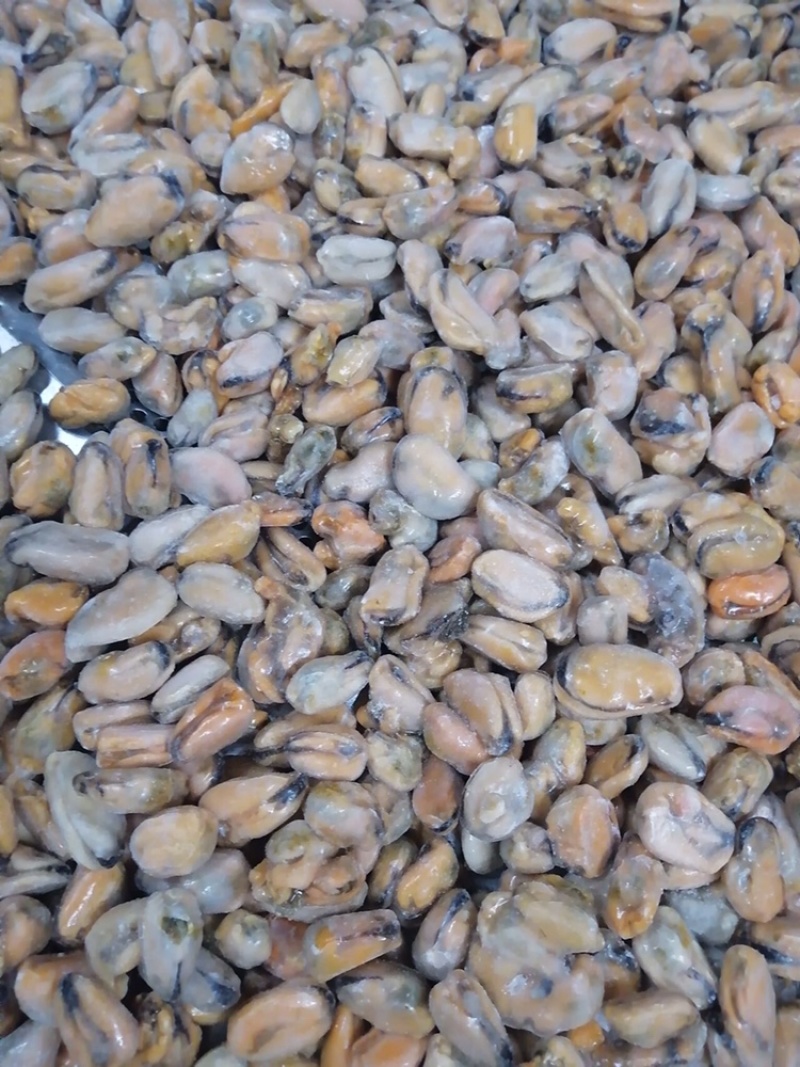 海虹单冻厂家直销规格都有