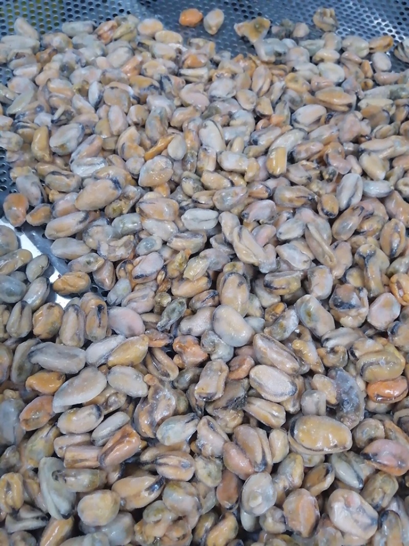 海虹单冻厂家直销规格都有