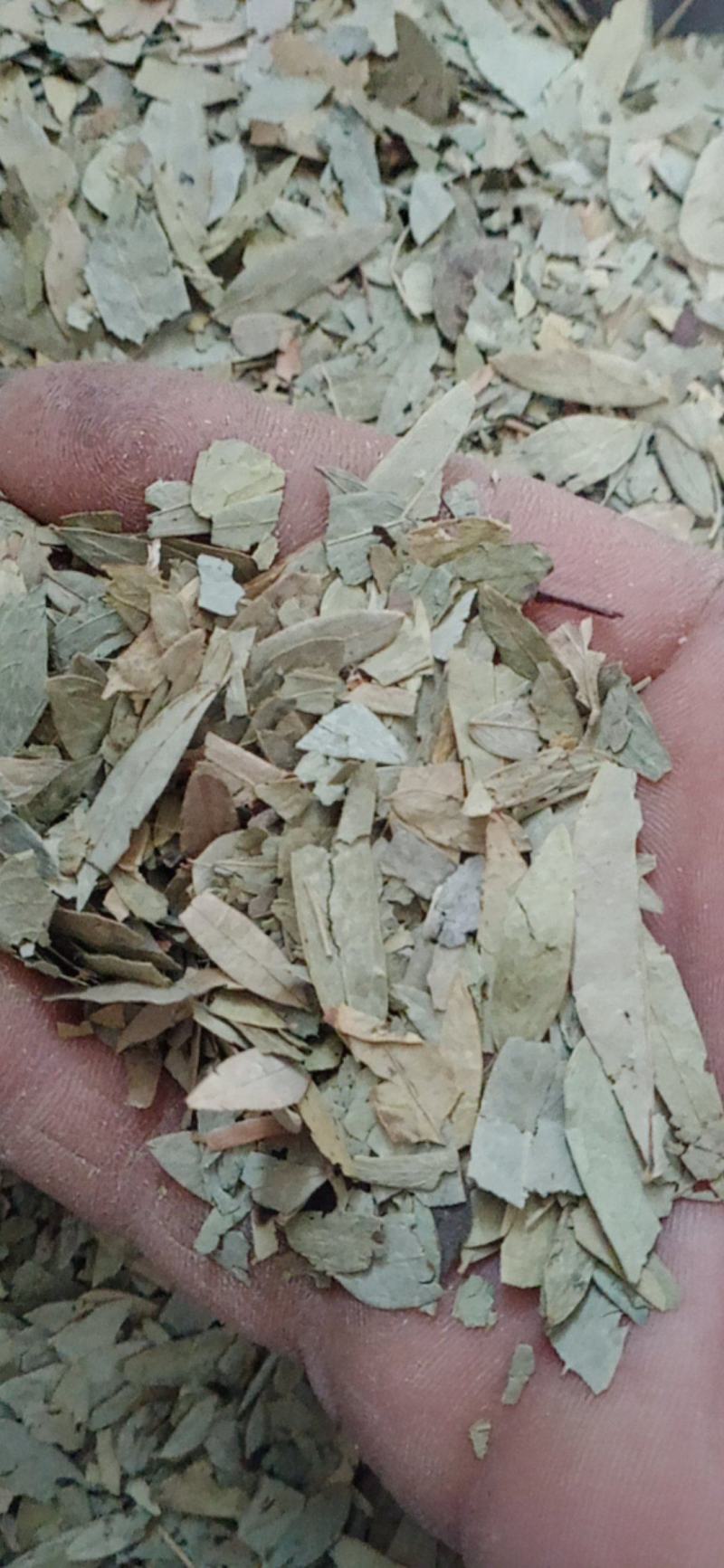 番泻叶.中药材批发.质量保证规格齐全.
