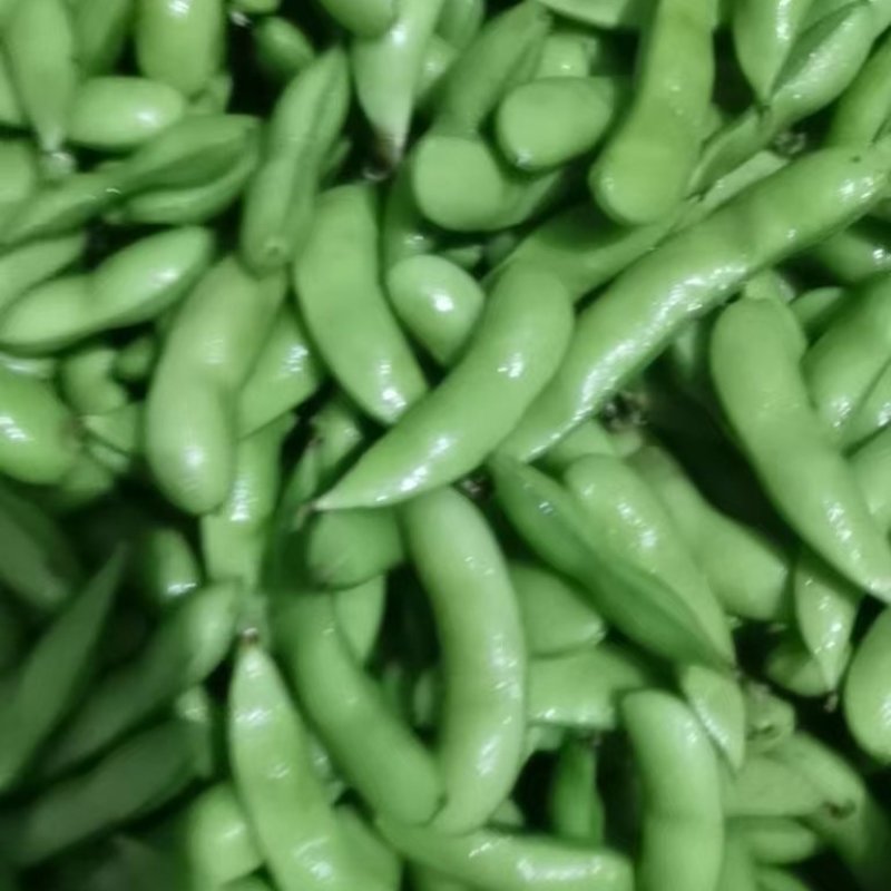 毛豆，毛豆夹，新鲜毛豆，毛豆，翠绿宝，小寒黄电商货