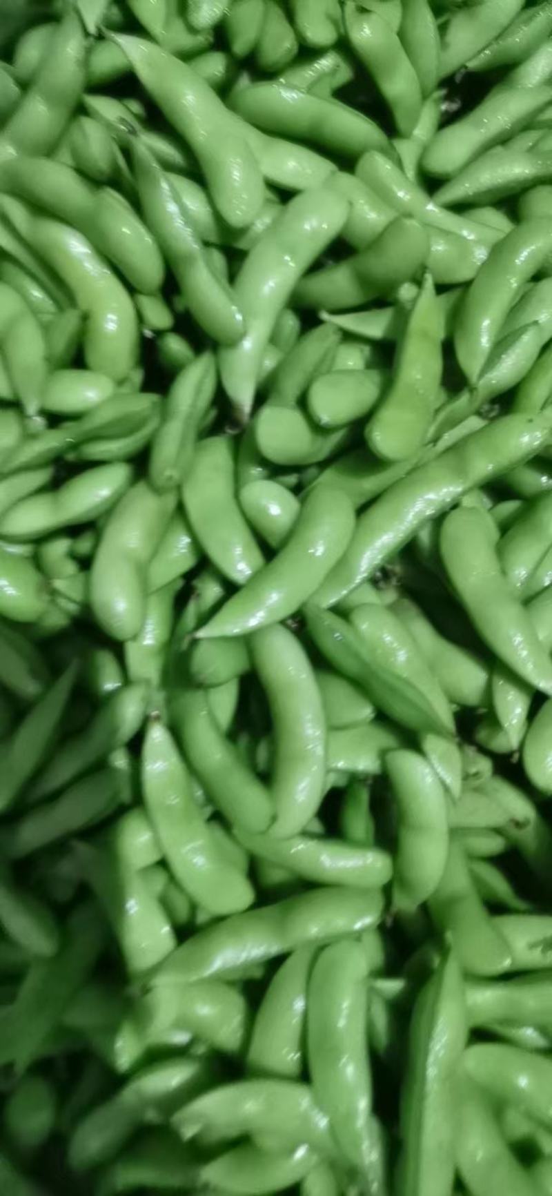 毛豆，毛豆夹，新鲜毛豆，毛豆，翠绿宝，小寒黄电商货