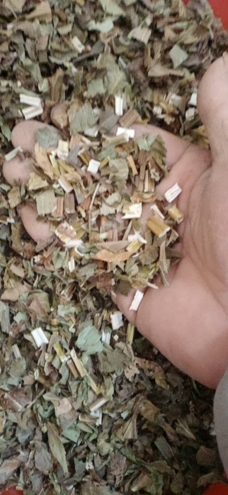 【泽兰】产地湖北中药材批发.质量保证规格齐全.