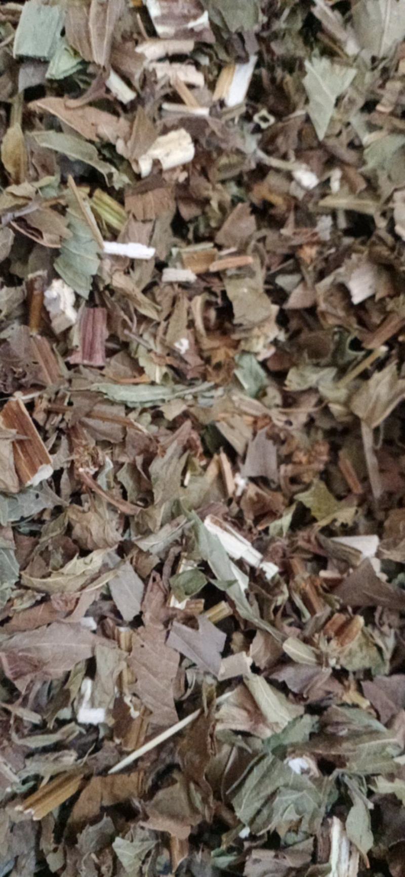 【泽兰】产地湖北中药材批发.质量保证规格齐全.
