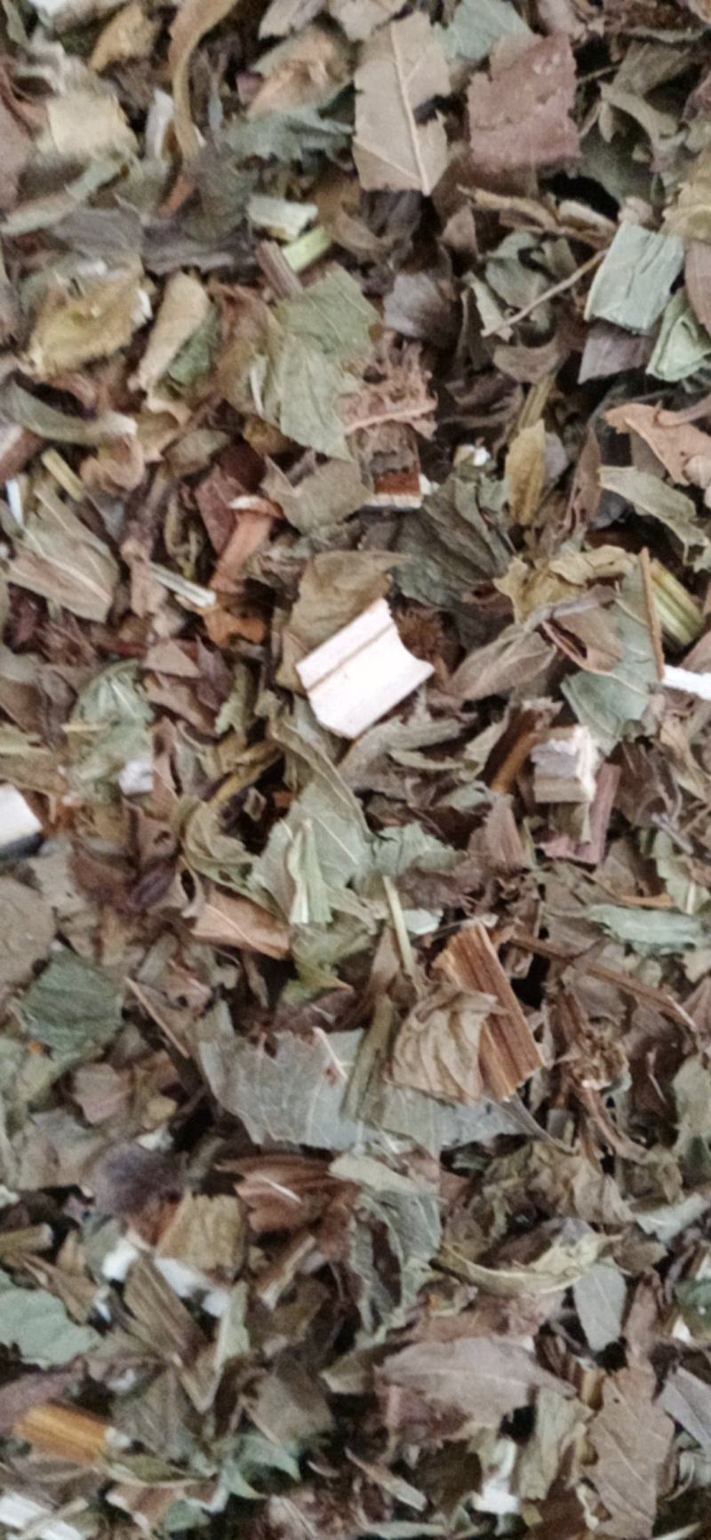 【泽兰】产地湖北中药材批发.质量保证规格齐全.