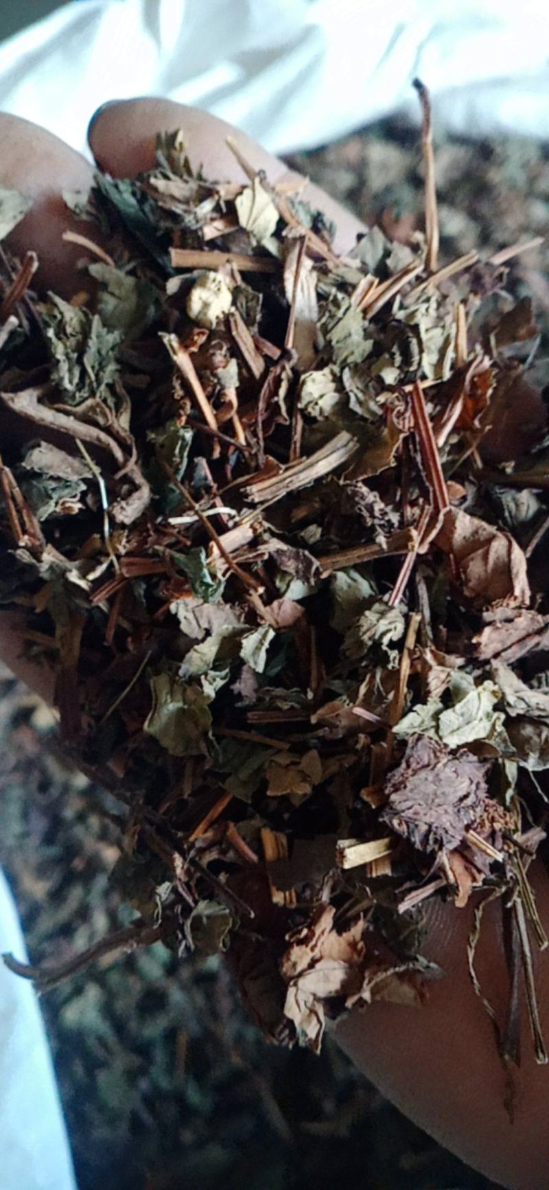 【鱼腥草】产地一手货源大货供应规格齐全量大优惠。