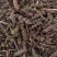 【荆芥】荆芥穗.中药材批发.质量保证规格齐全.