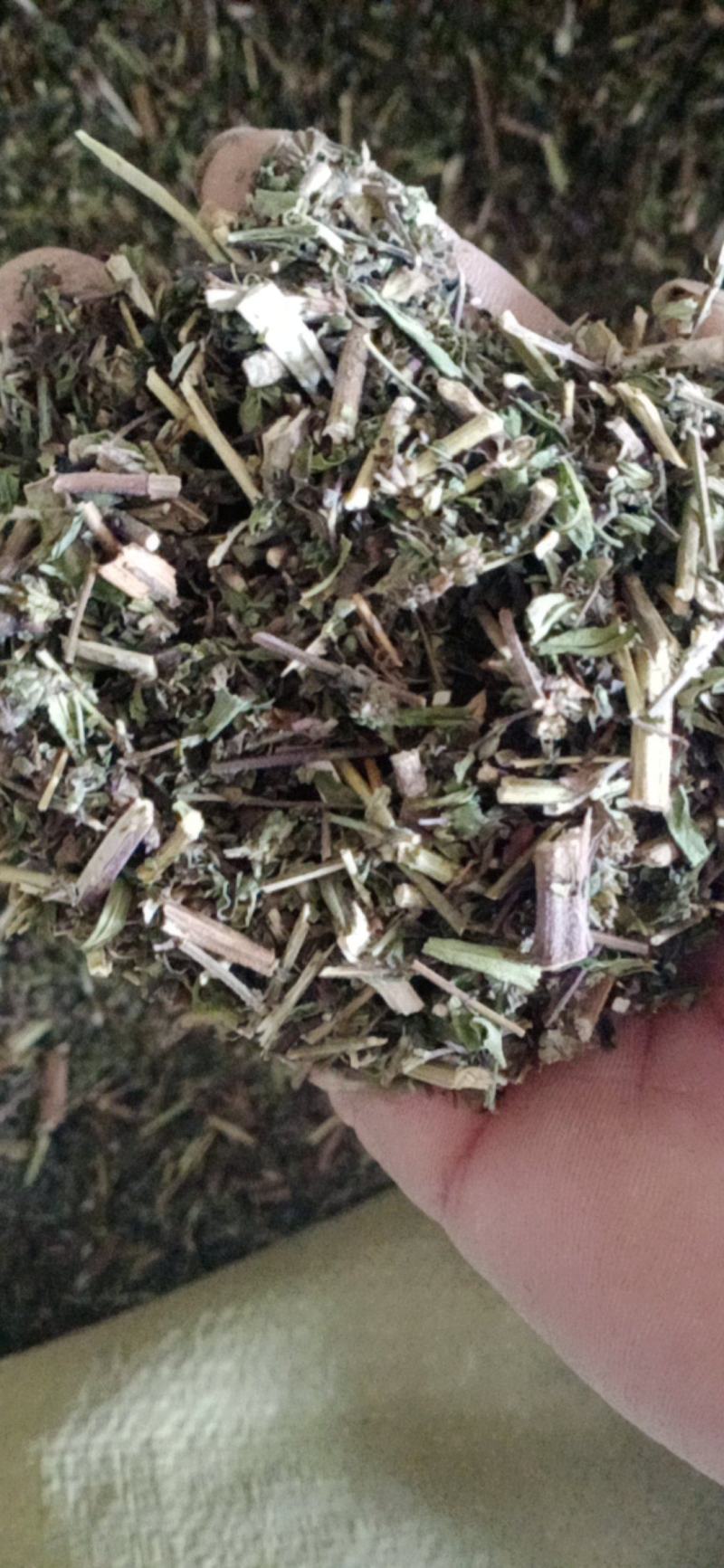 【荆芥】荆芥穗.中药材批发.质量保证规格齐全.