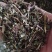 【荆芥】荆芥穗.中药材批发.质量保证规格齐全.