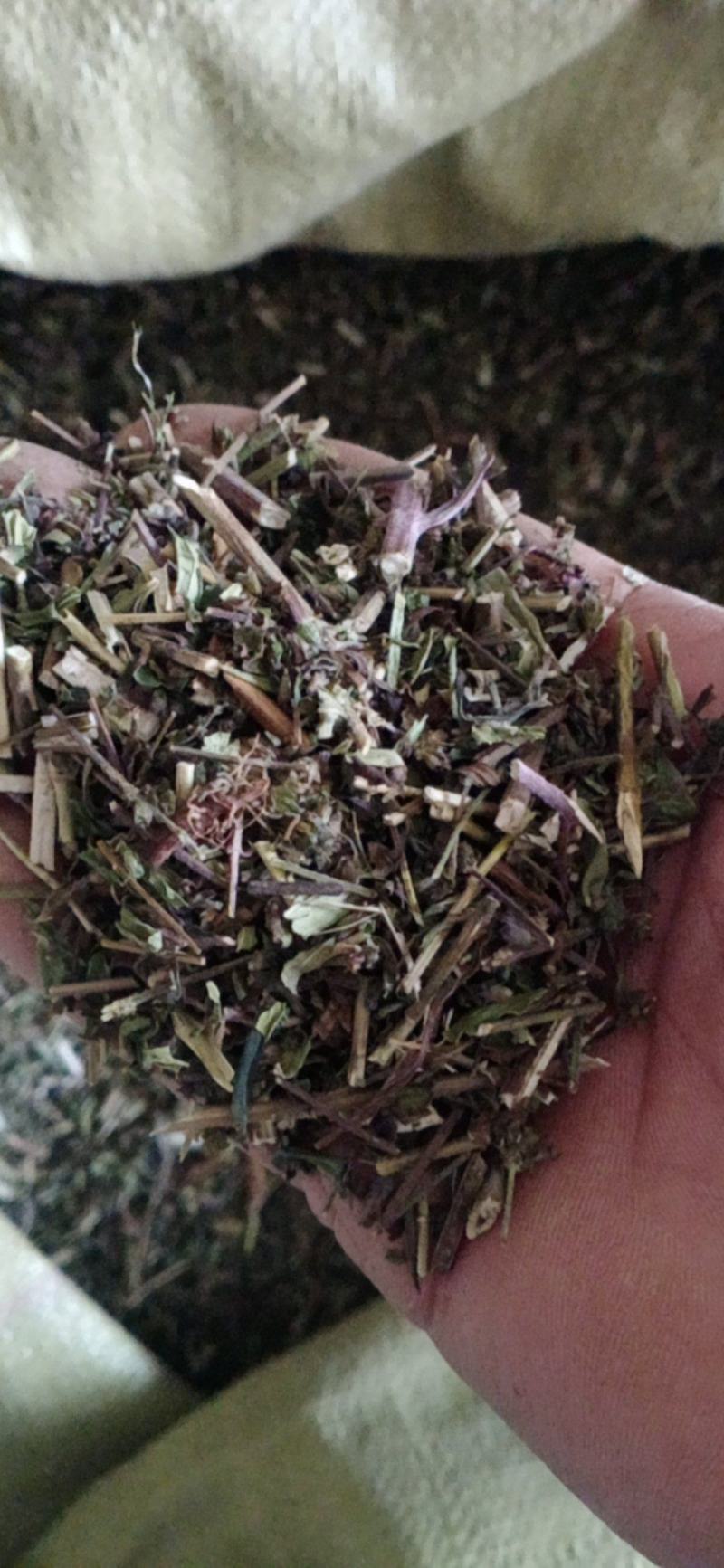 【荆芥】荆芥穗.中药材批发.质量保证规格齐全.