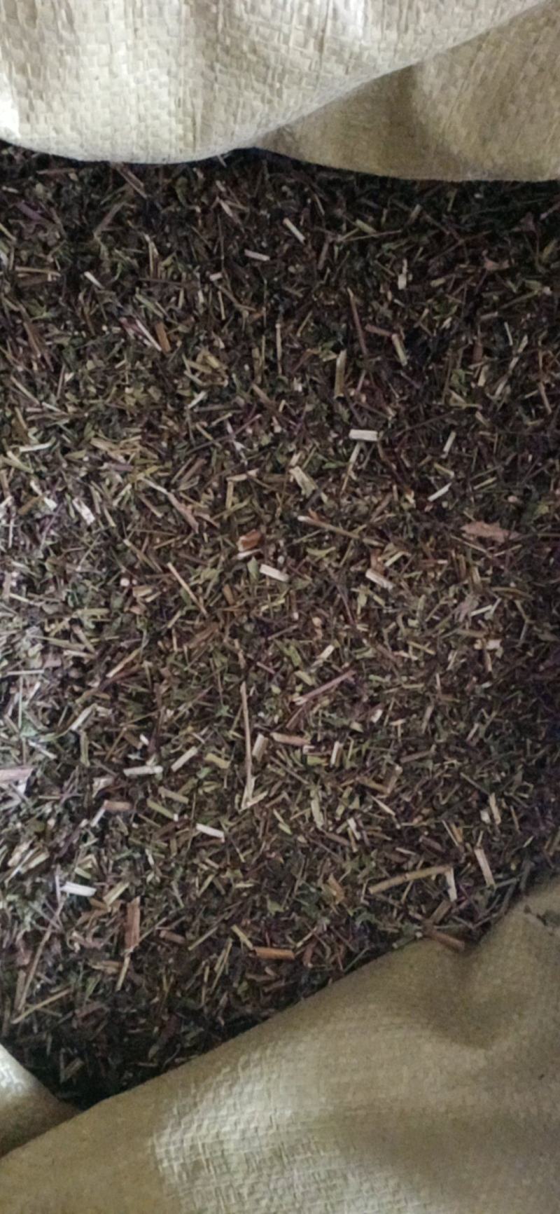 【荆芥】荆芥穗.中药材批发.质量保证规格齐全.