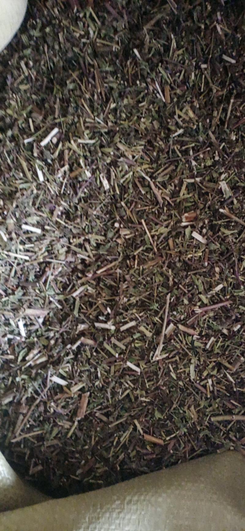 【荆芥】荆芥穗.中药材批发.质量保证规格齐全.