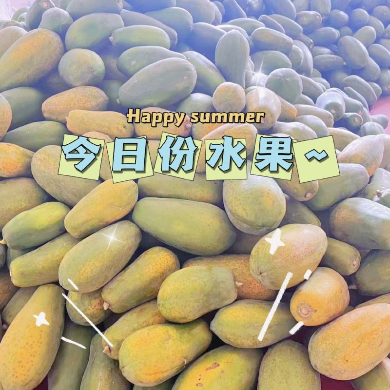 大青木瓜外熟肉红雷州原产地雷州冰糖红心木瓜超甜
