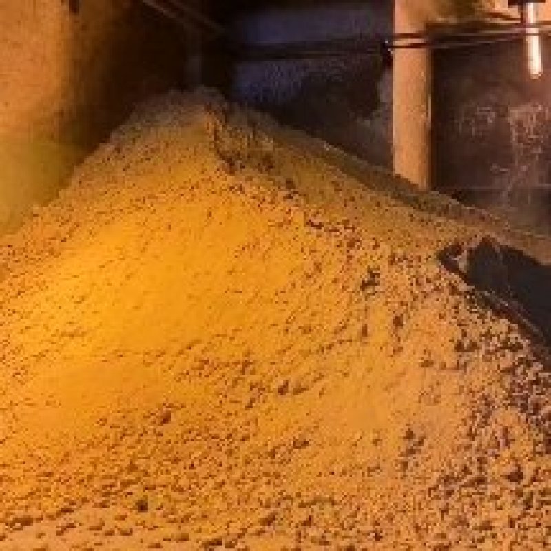 新鲜玉米渣
