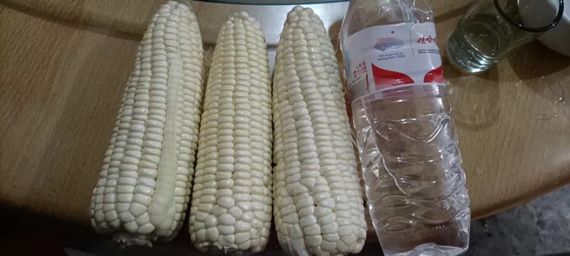 白糯玉米，万糯2000