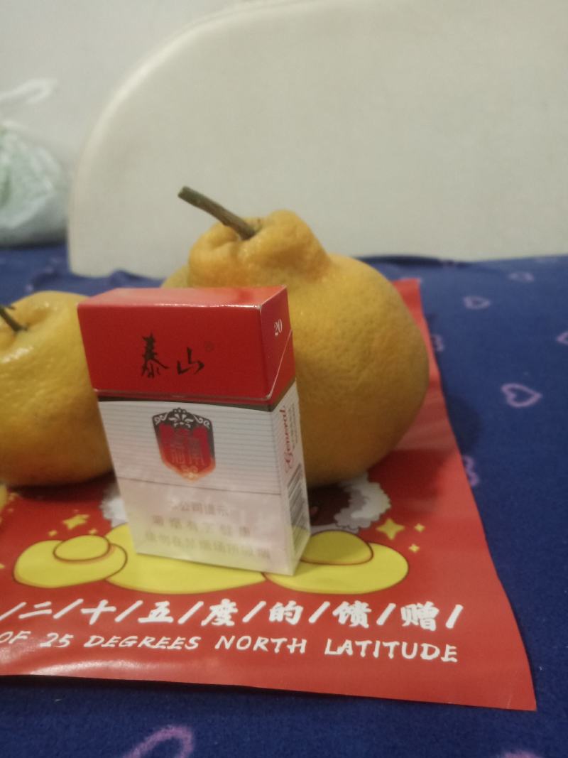 精品粑粑柑