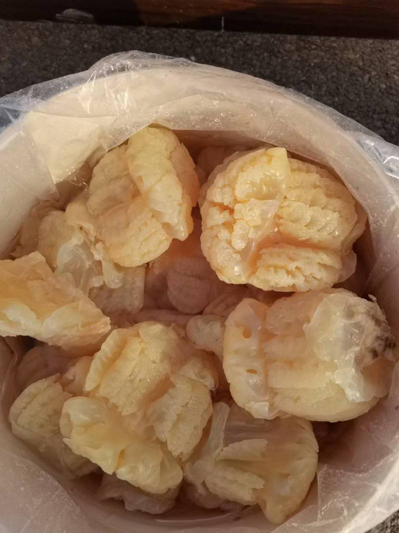 海蛰头菊花蛰头口感爽脆价格便宜可常年供货欢迎咨询