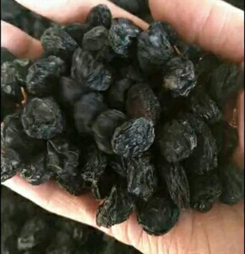 新疆夏黑葡萄干新疆各种各样葡萄干品质齐全量大