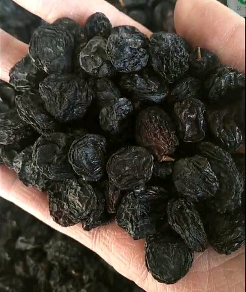 新疆夏黑葡萄干新疆各种各样葡萄干品质齐全量大