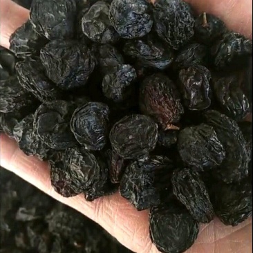 新疆夏黑葡萄干新疆各种各样葡萄干品质齐全量大