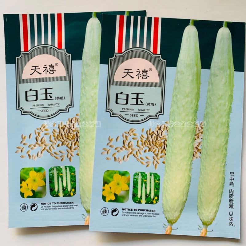 天禧白玉白黄瓜种子瓜味浓肉质脆嫩乳黄白色黄瓜种籽大田