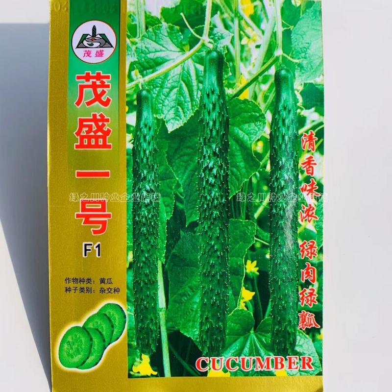 绿肉绿瓤黄瓜种子新品种瓜色深绿瓜把短水黄瓜密刺黄瓜种子