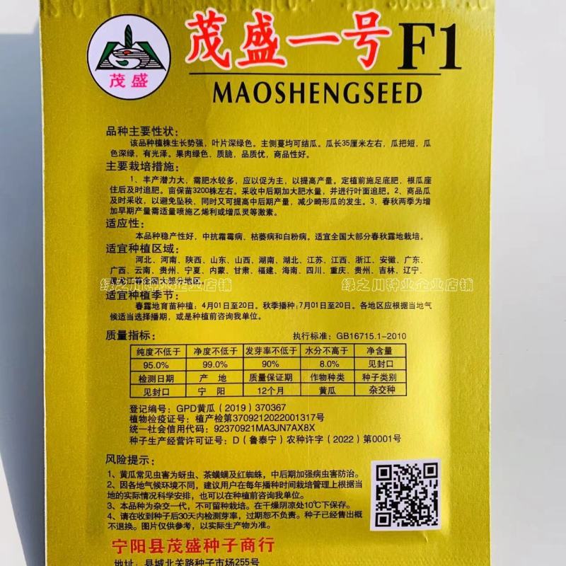 绿肉绿瓤黄瓜种子新品种瓜色深绿瓜把短水黄瓜密刺黄瓜种子
