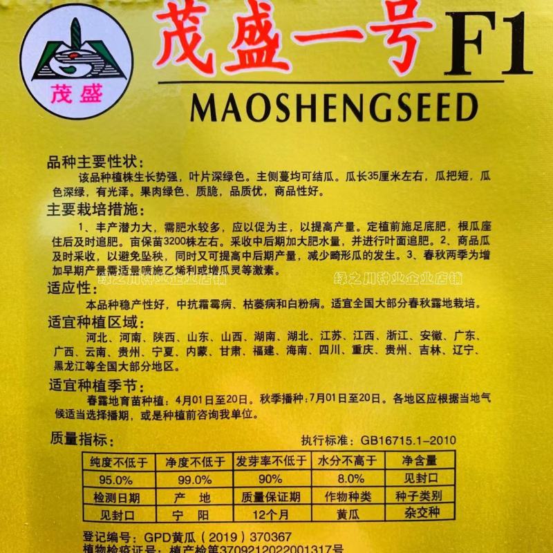 绿肉绿瓤黄瓜种子新品种瓜色深绿瓜把短水黄瓜密刺黄瓜种子