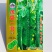 绿肉绿瓤黄瓜种子新品种瓜色深绿瓜把短水黄瓜密刺黄瓜种子