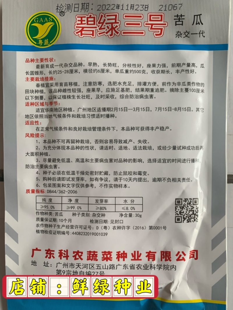 碧绿三号苦瓜早熟雌性强长势旺丰产单瓜约500克