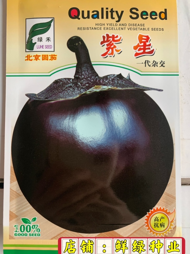 紫罐茄露地栽培品种籽少白肉软绵耐热抗性品质好