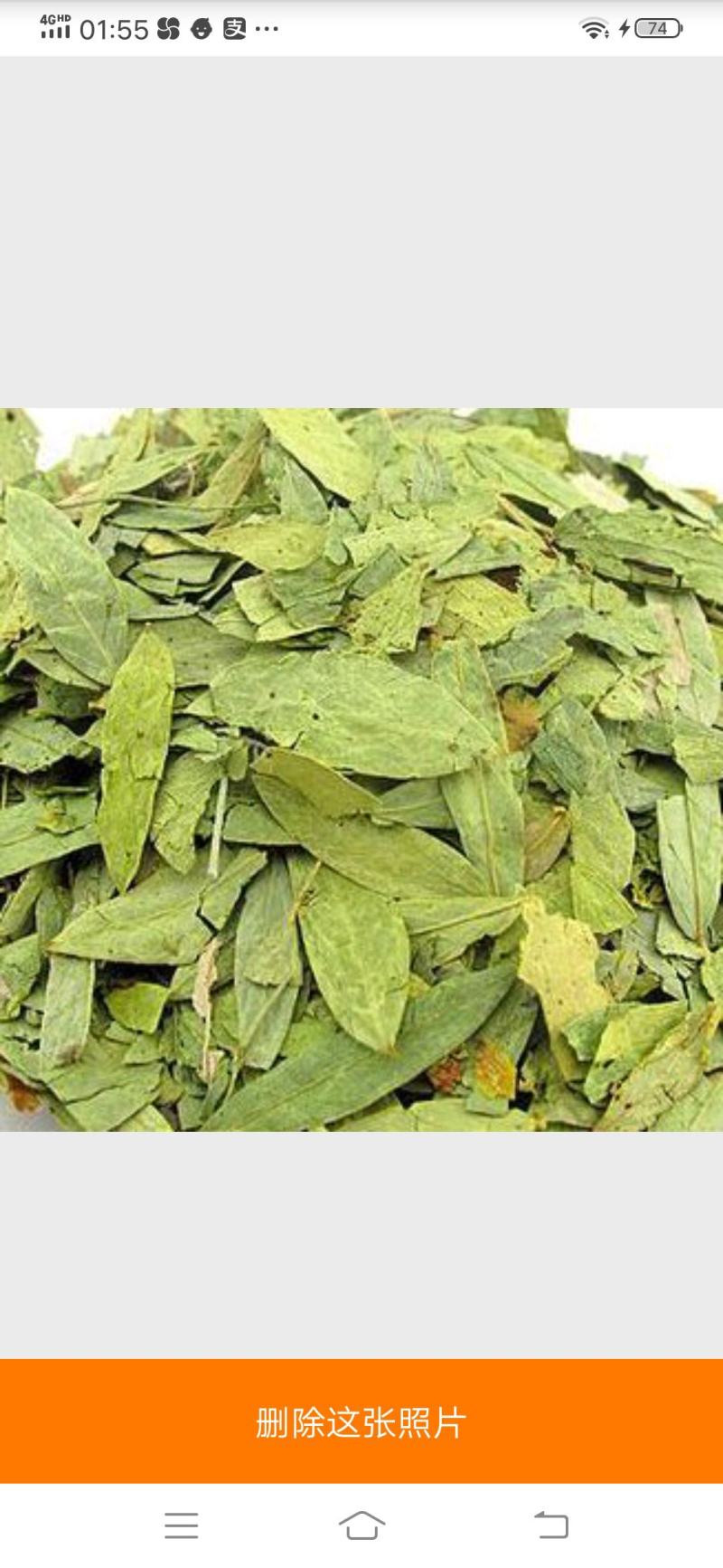 番泻叶.中药材批发.质量保证规格齐全.