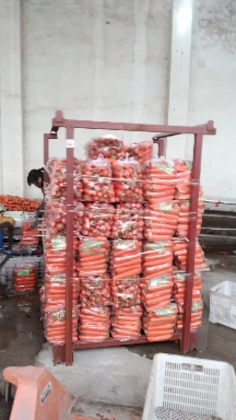 精品胡萝卜，个人一手货源