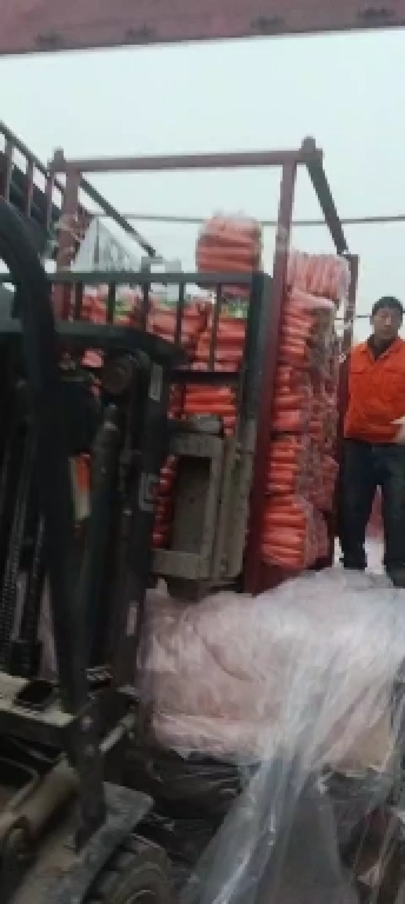 精品胡萝卜，个人一手货源