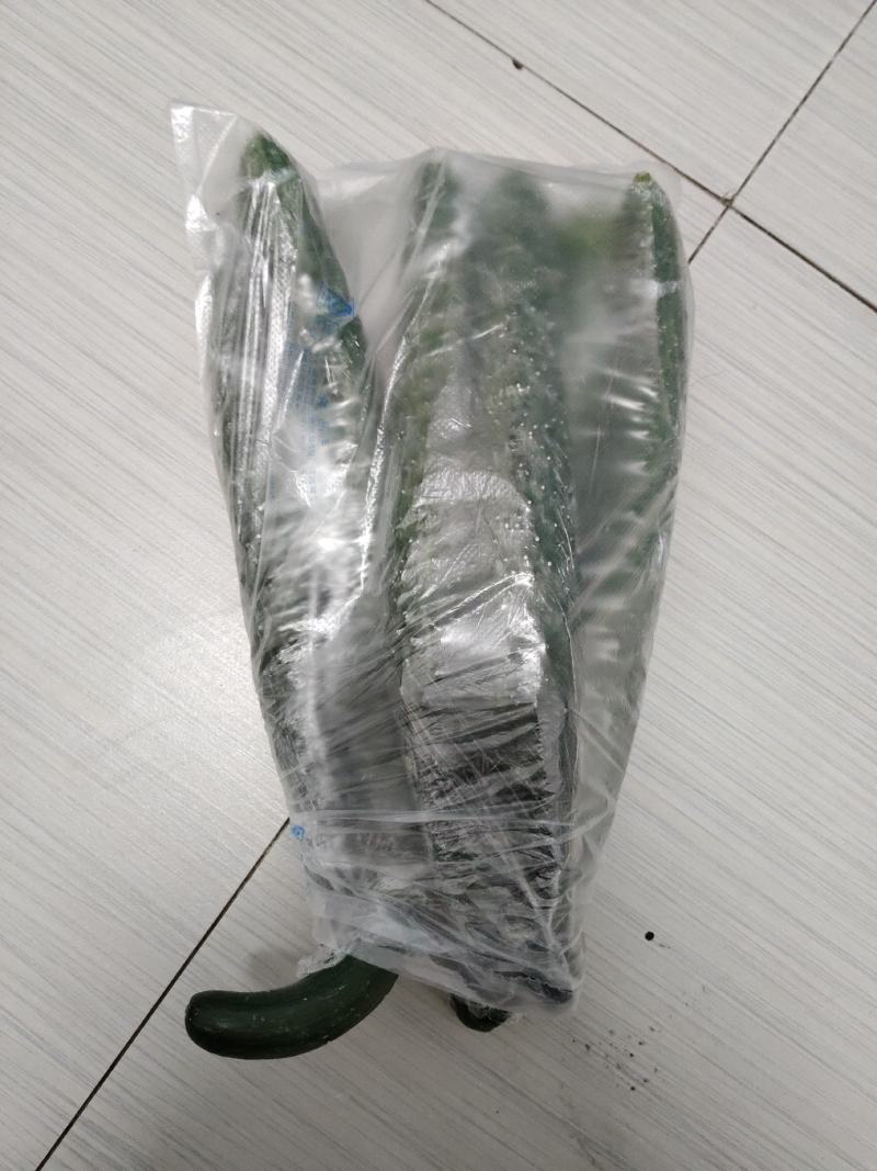 黄瓜西红柿