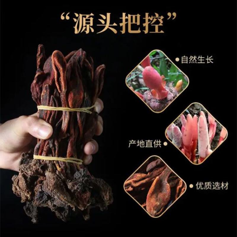 回春草干货真正的一首货源没有差价专业批发包邮发货