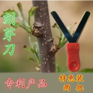 河北永德助刻芽刀齐力工具春季萌芽前刻芽环割环切果园专用