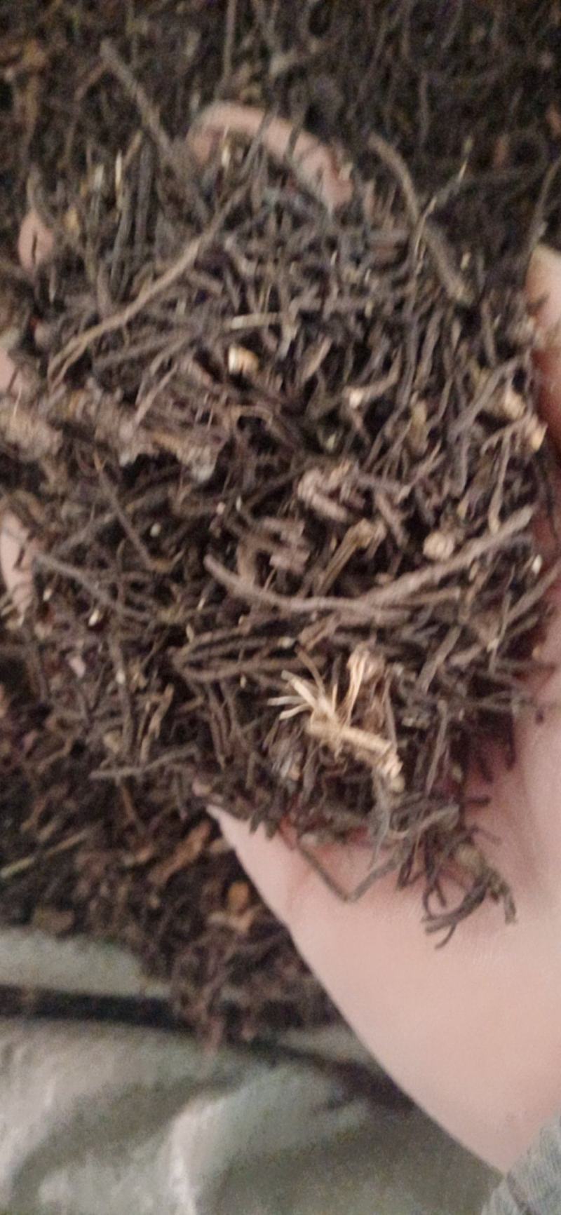 【威灵仙】.中药材批发.质量保证规格齐全.