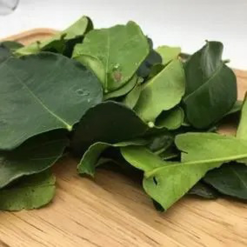 广东新鲜柠檬叶泡茶现摘现发对接各级客商欢迎来电咨询