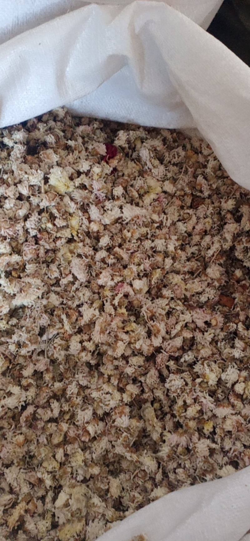 【菊花】产地无硫纯干货颜色好.质量保证规格齐全.