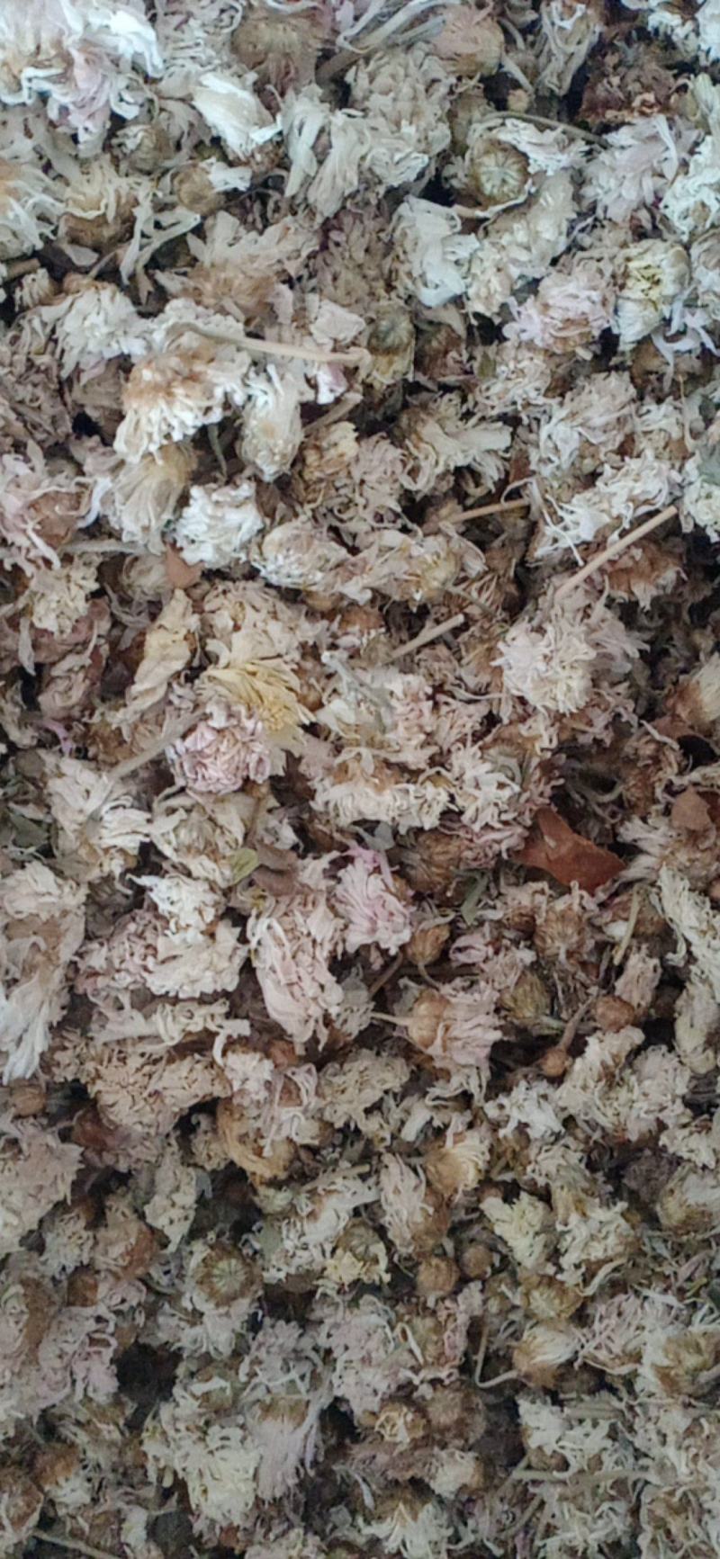 【菊花】产地无硫纯干货颜色好.质量保证规格齐全.