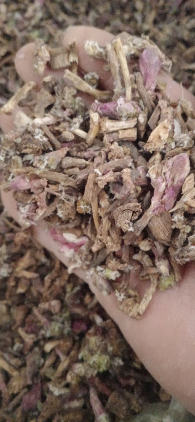 【款冬花】.中药材批发.质量保证规格齐全.