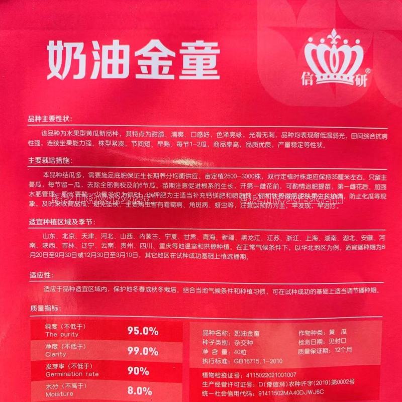奶油金童小黄瓜种子脆甜光滑无刺水果黄瓜种籽早熟节节有瓜