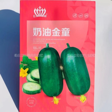 奶油金童小黄瓜种子脆甜光滑无刺水果黄瓜种籽早熟节节有瓜