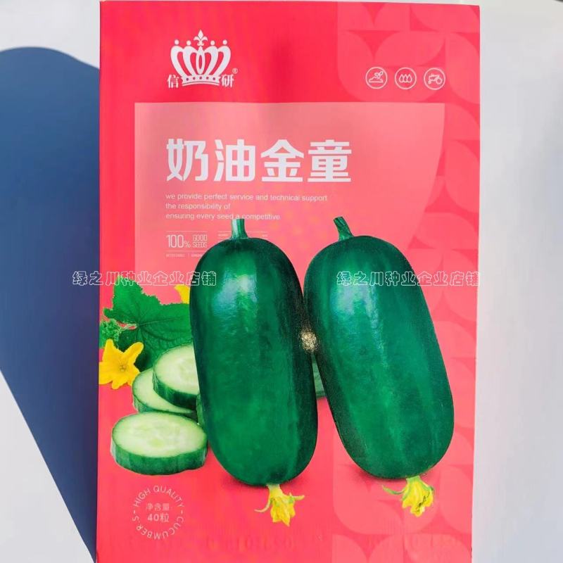 奶油金童小黄瓜种子脆甜光滑无刺水果黄瓜种籽早熟节节有瓜