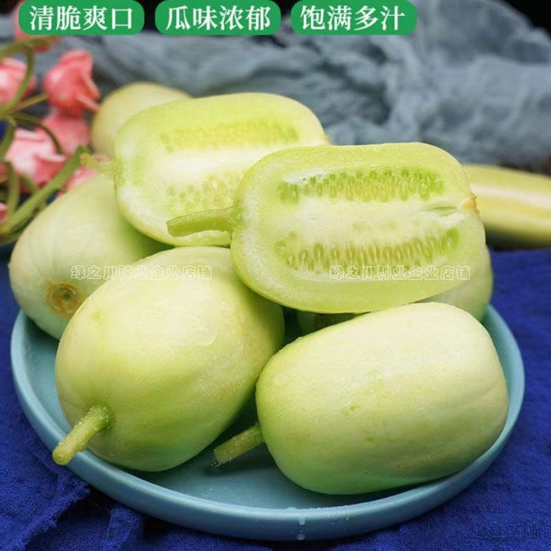 玉女黄瓜种子强雌性脆甜节节有瓜水果黄瓜种子无刺光滑小黄瓜