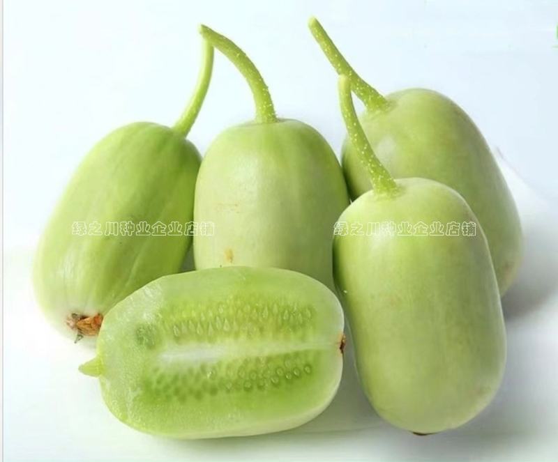 玉女黄瓜种子强雌性脆甜节节有瓜水果黄瓜种子无刺光滑小黄瓜