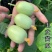 玉女黄瓜种子强雌性脆甜节节有瓜水果黄瓜种子无刺光滑小黄瓜
